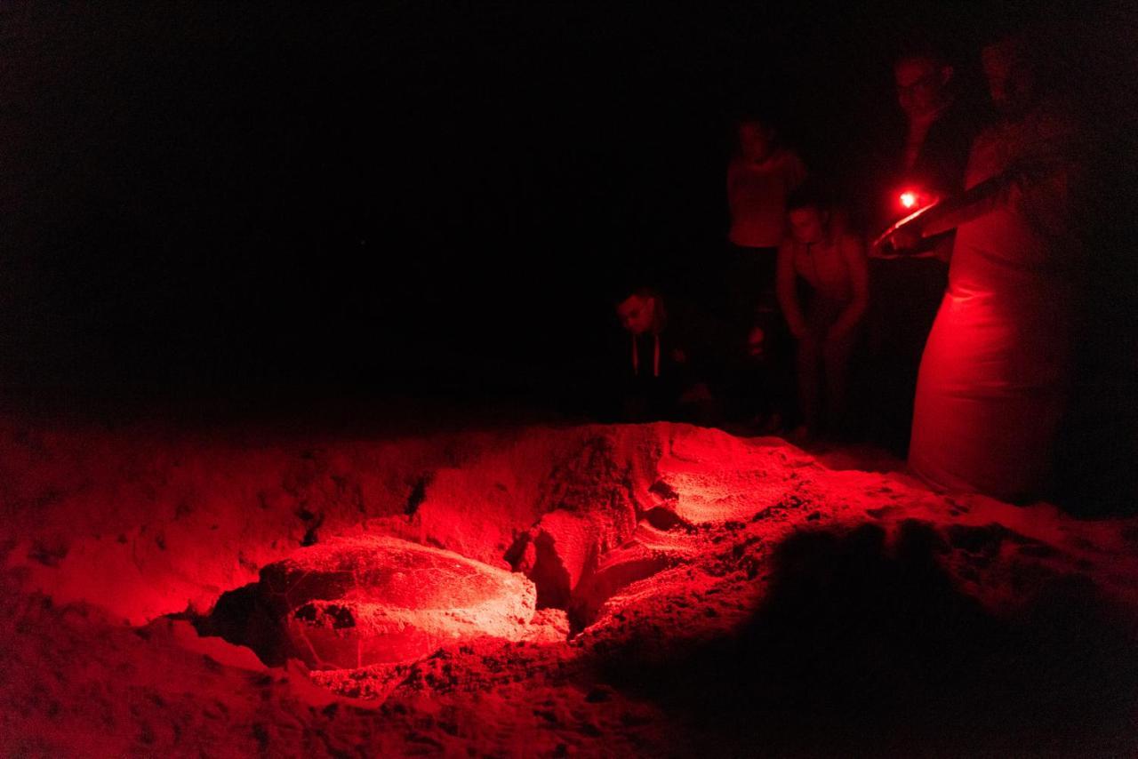 Ras Al Jinz Turtle Reserve Al Hadd Ngoại thất bức ảnh