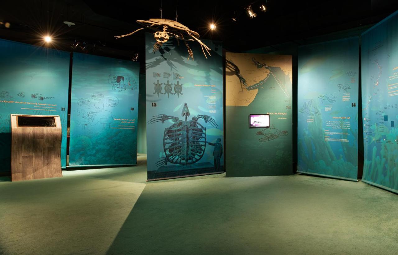 Ras Al Jinz Turtle Reserve Al Hadd Ngoại thất bức ảnh